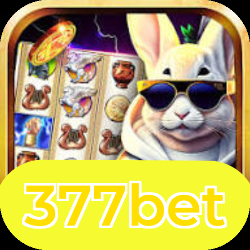 Comparação APP mobile vs versão web da 377bet